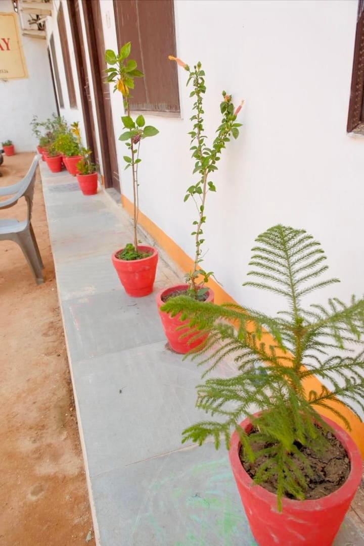 Backpackers Karma Home Stay Khajurāho Exterior photo