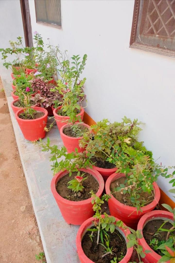 Backpackers Karma Home Stay Khajurāho Exterior photo